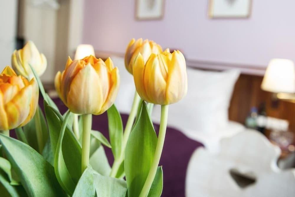 Hotel Elch Boutique Nürnberg Eksteriør bilde